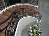 Vernal Circular (5)